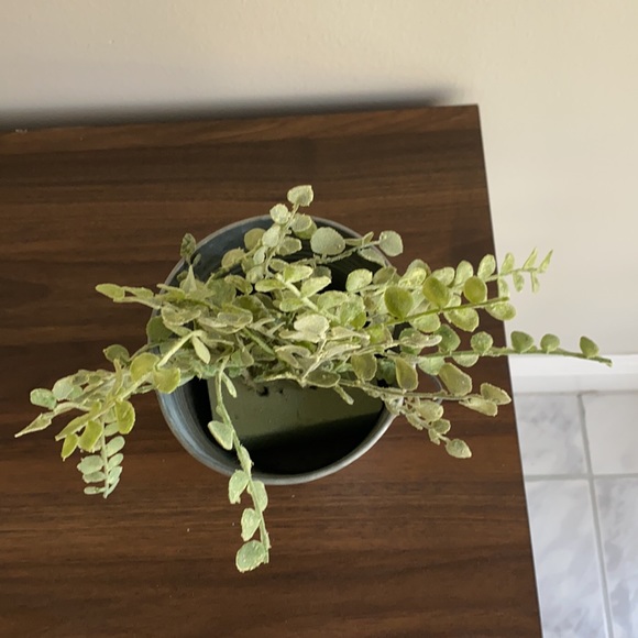 🌿Fake Plant in Metal Pale 🌿 - Picture 2 of 3